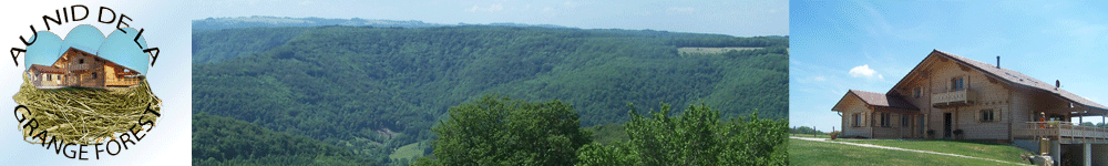 Chambre d'hôte au nid de la grange forest